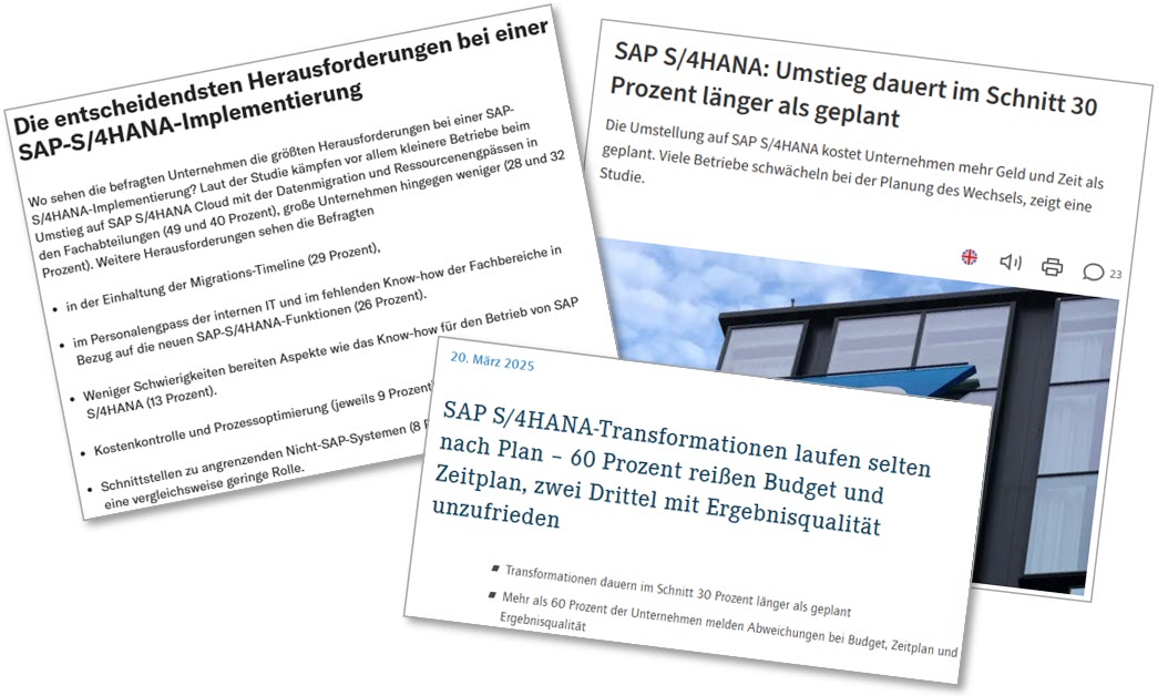 Gegenüberstellung: Rapid Prototyping vs. traditionelle Migrationsprojekte